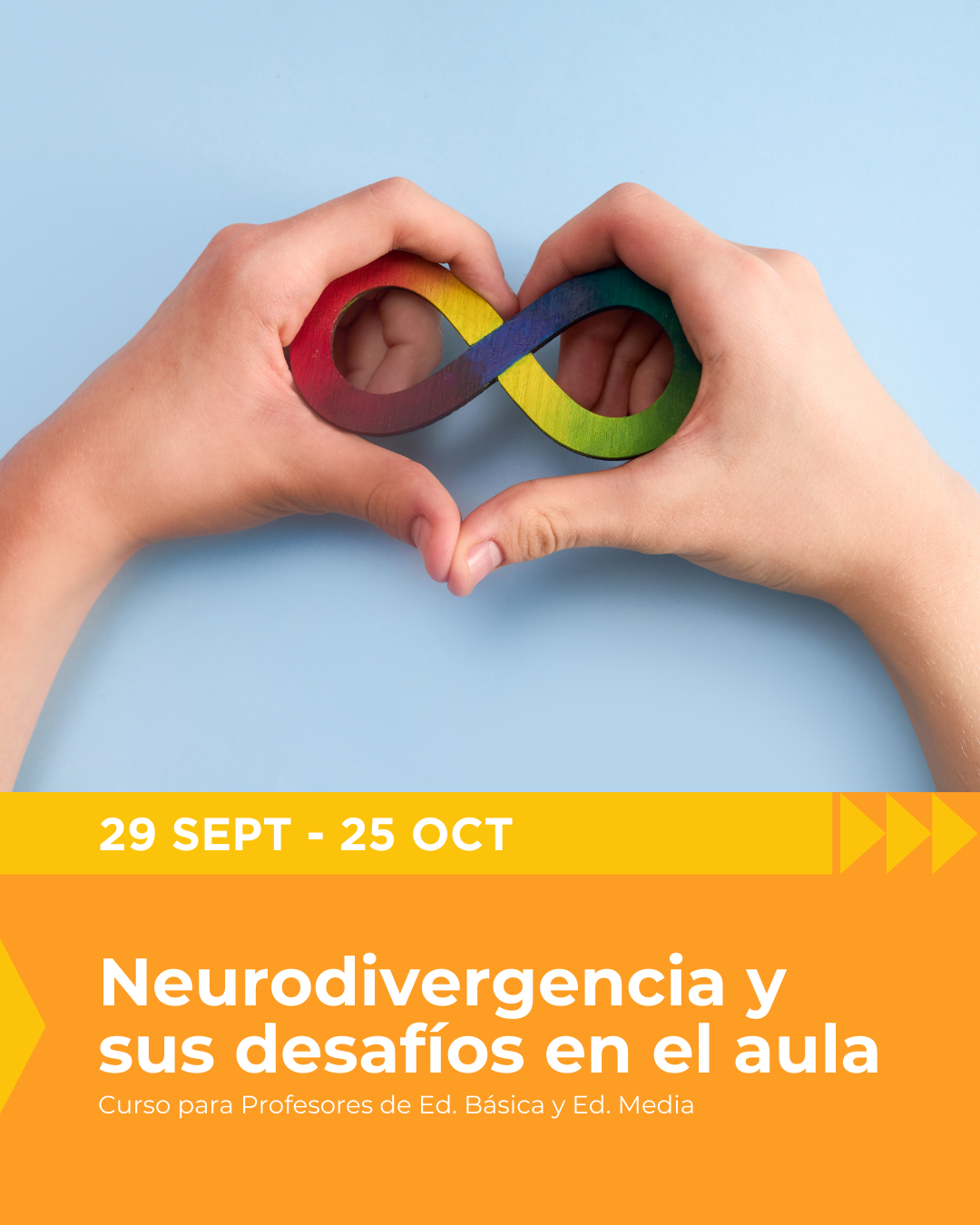 PROGRAMA PROFESORES PRINCIPIANTES (2)